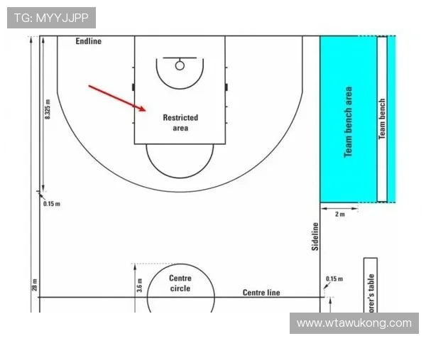 FIBA和NBA规则区别：专业解析两大体系的核心差异