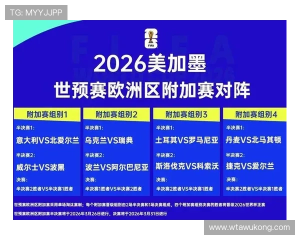 波黑冲击2026世界杯:晋级前景、阵容解析与出线形势分析 波黑冲击2026世界杯:晋级前景、阵容解析与出线形势分析